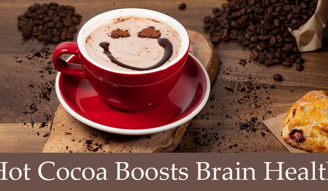 Chocolate is Good for The Brain