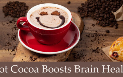 Chocolate is Good for The Brain