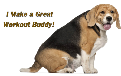 Obesity in Pets and Humans